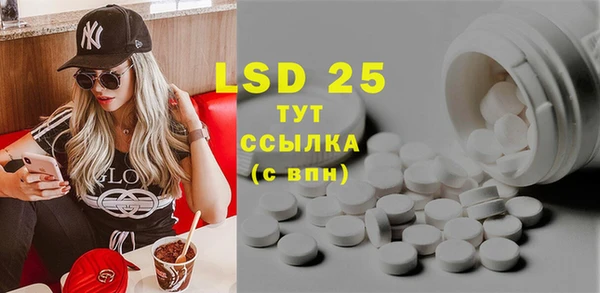 сатива Козловка