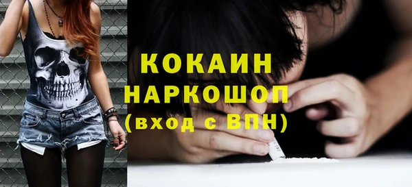сатива Козловка