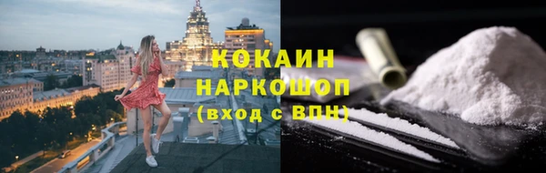 сатива Козловка