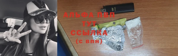 сатива Козловка