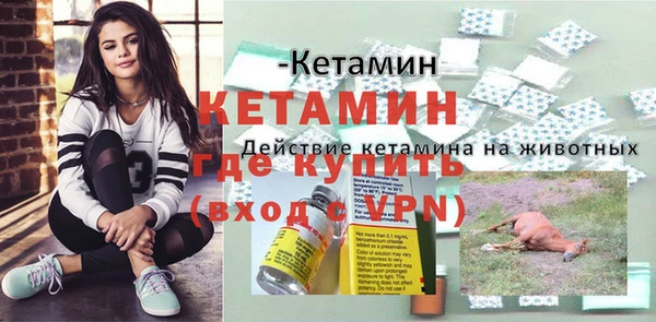 сатива Козловка