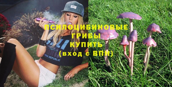 сатива Козловка