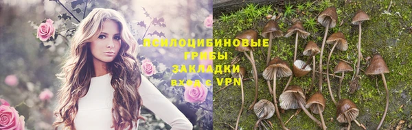 сатива Козловка