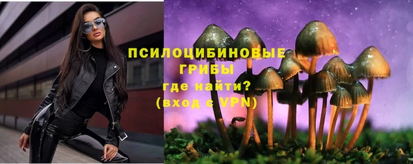 сатива Козловка