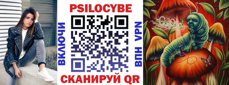 Купить где  Луга  Псилоцибиновые грибы GOLDEN TEACHER 